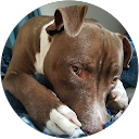 Ian Osep profile picture
